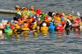 Maschsee13   681
